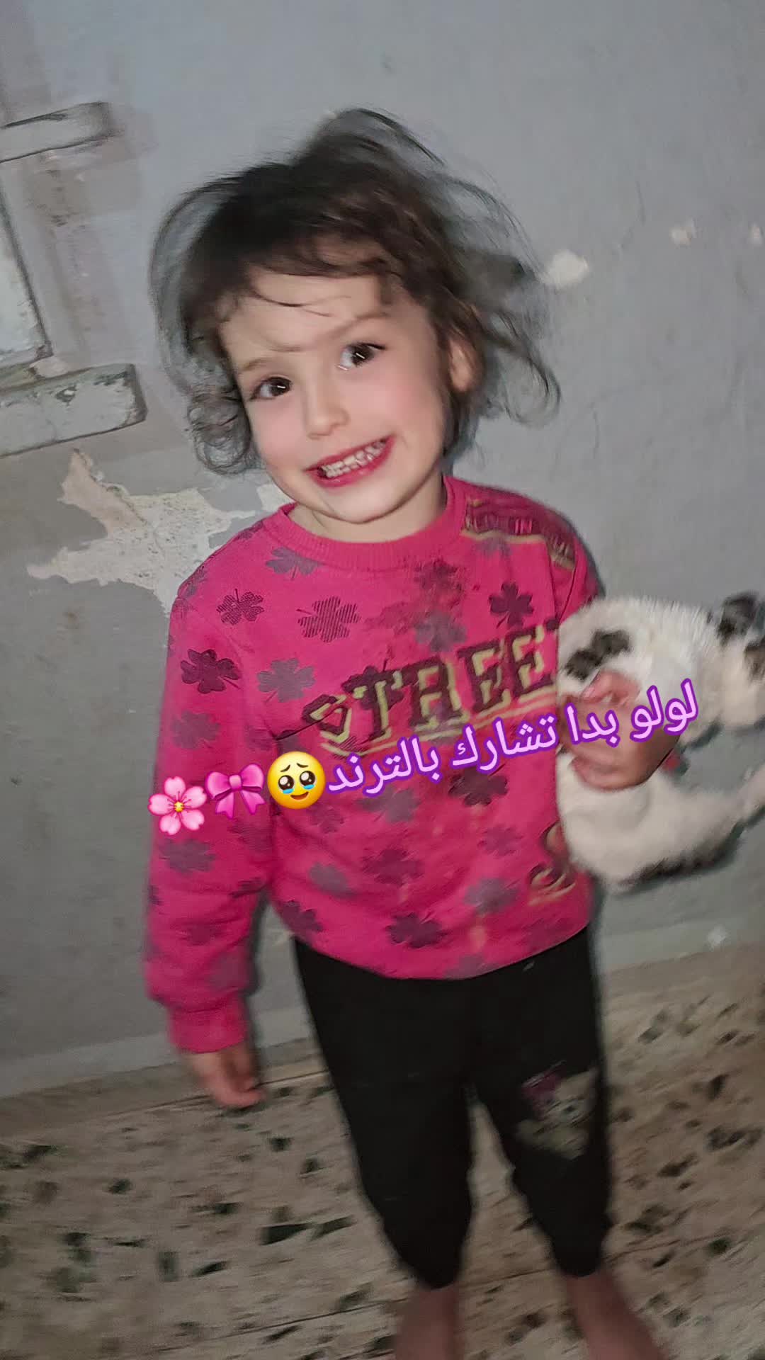 @🌸🌱عائلة لموشي lmosh🌱🌸
