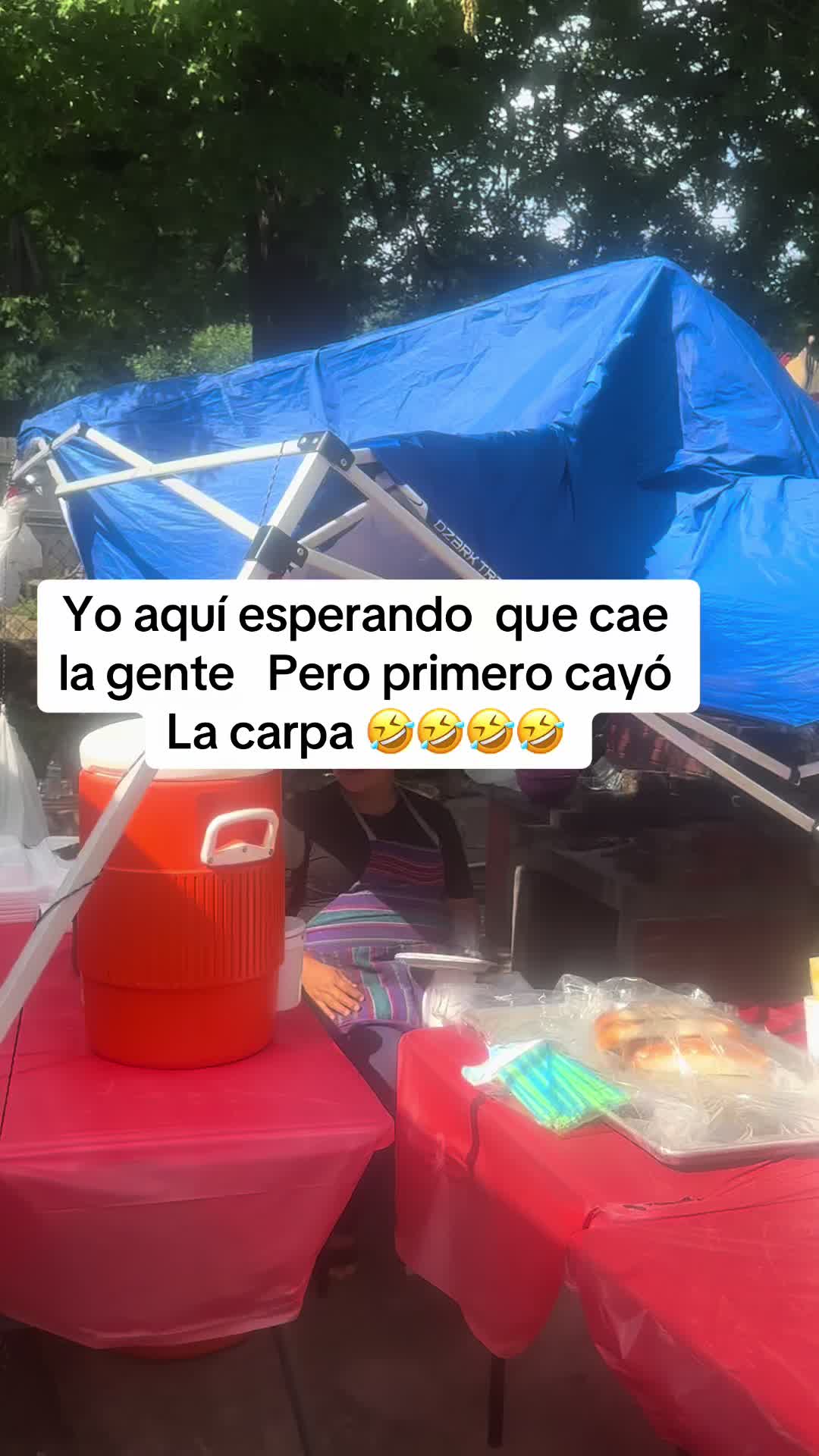 @ElChequeperez502