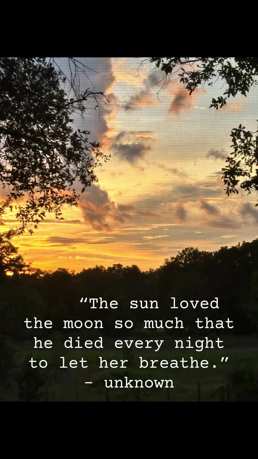 @countryb1tch