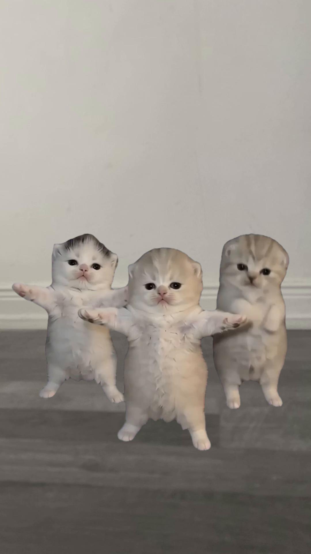 @Liza🐾