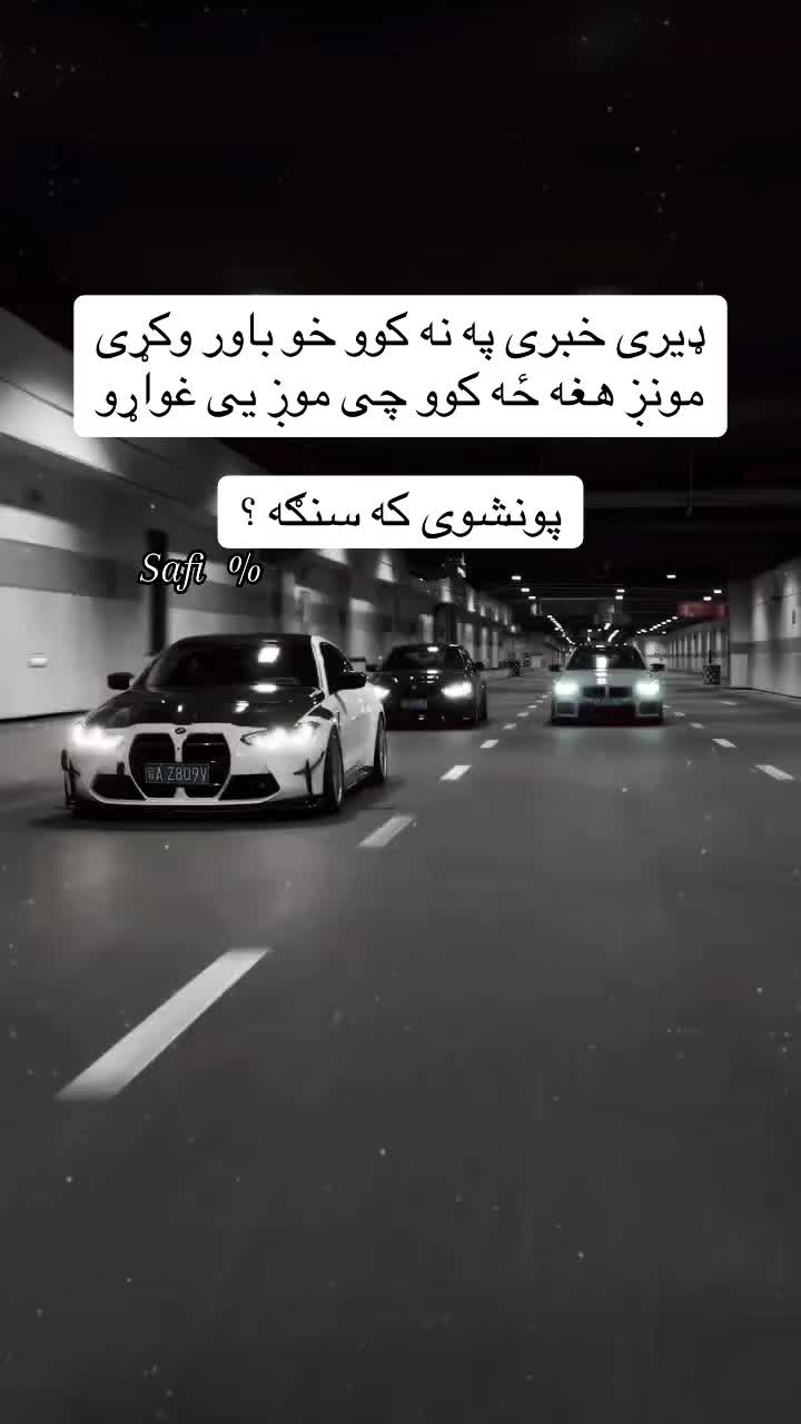 @safi.tg2026