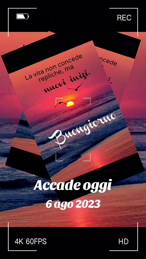 @alessandramarchi726