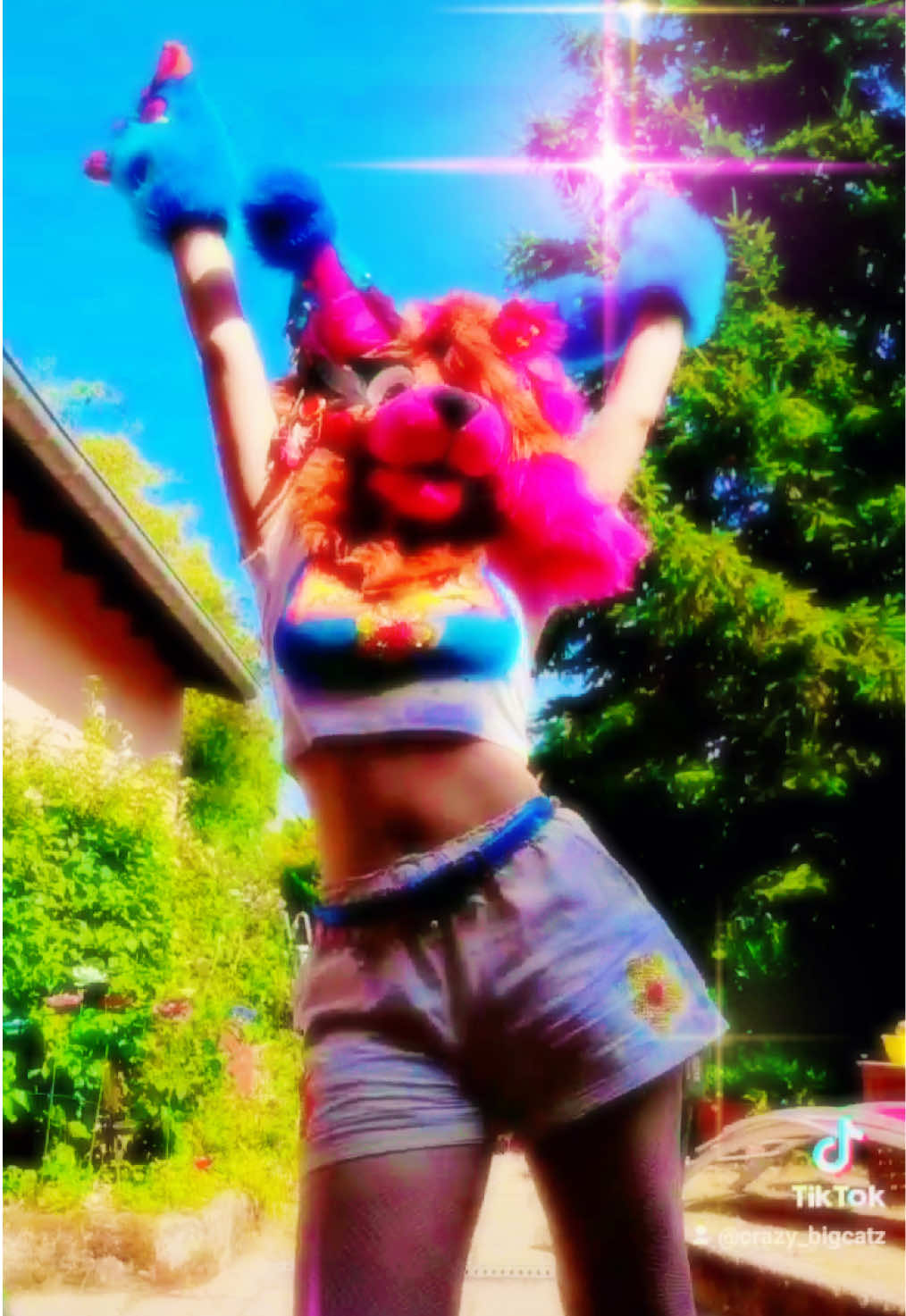 @🌺💙⭐️Amélia The Wolf 64⭐️💙🌺