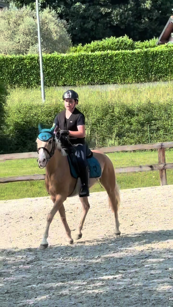 @м&iota;&alpha; 🐴💛