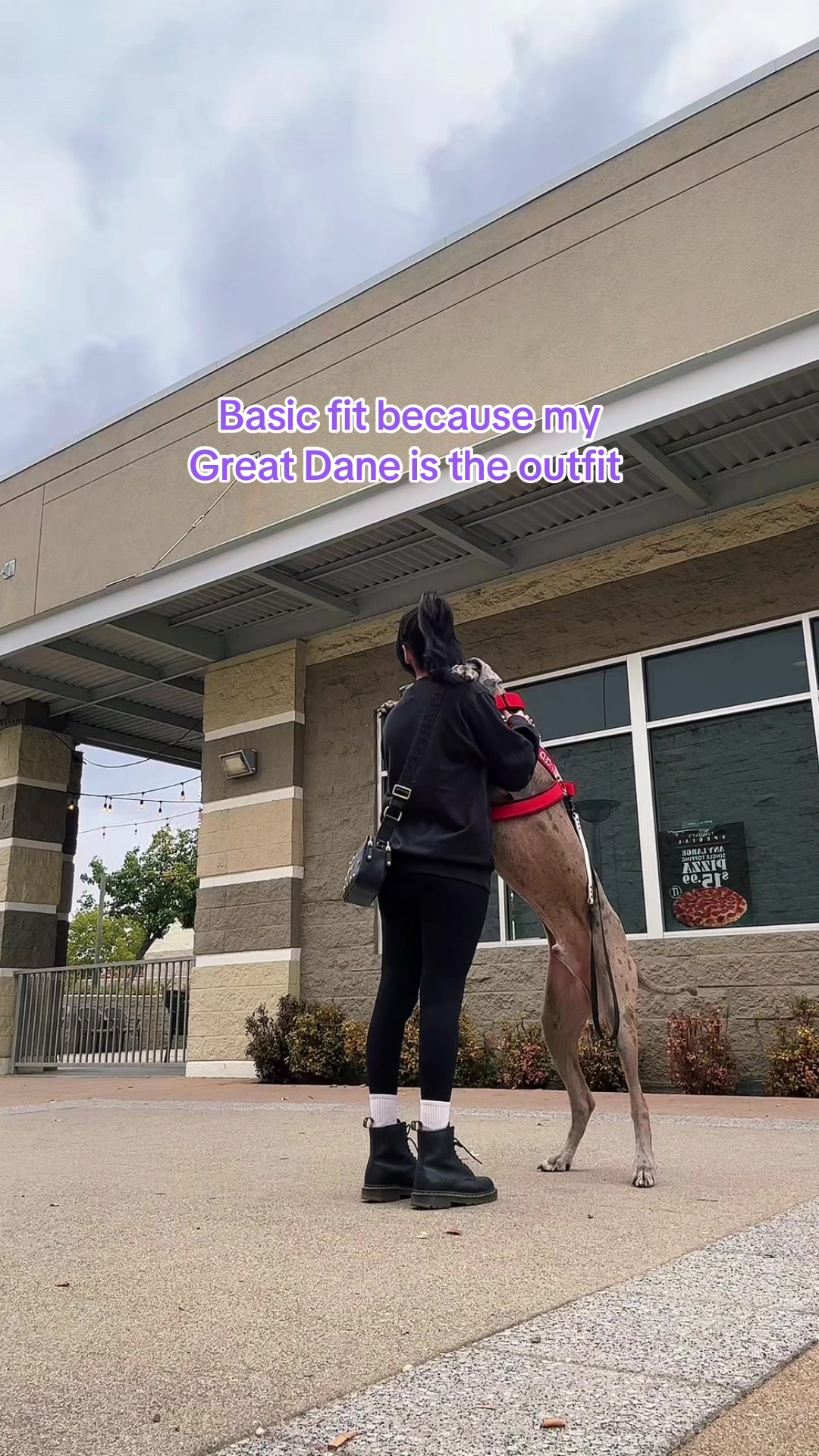 @lex 🐺⛓️