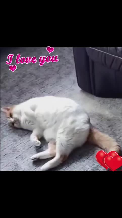 @Babsi