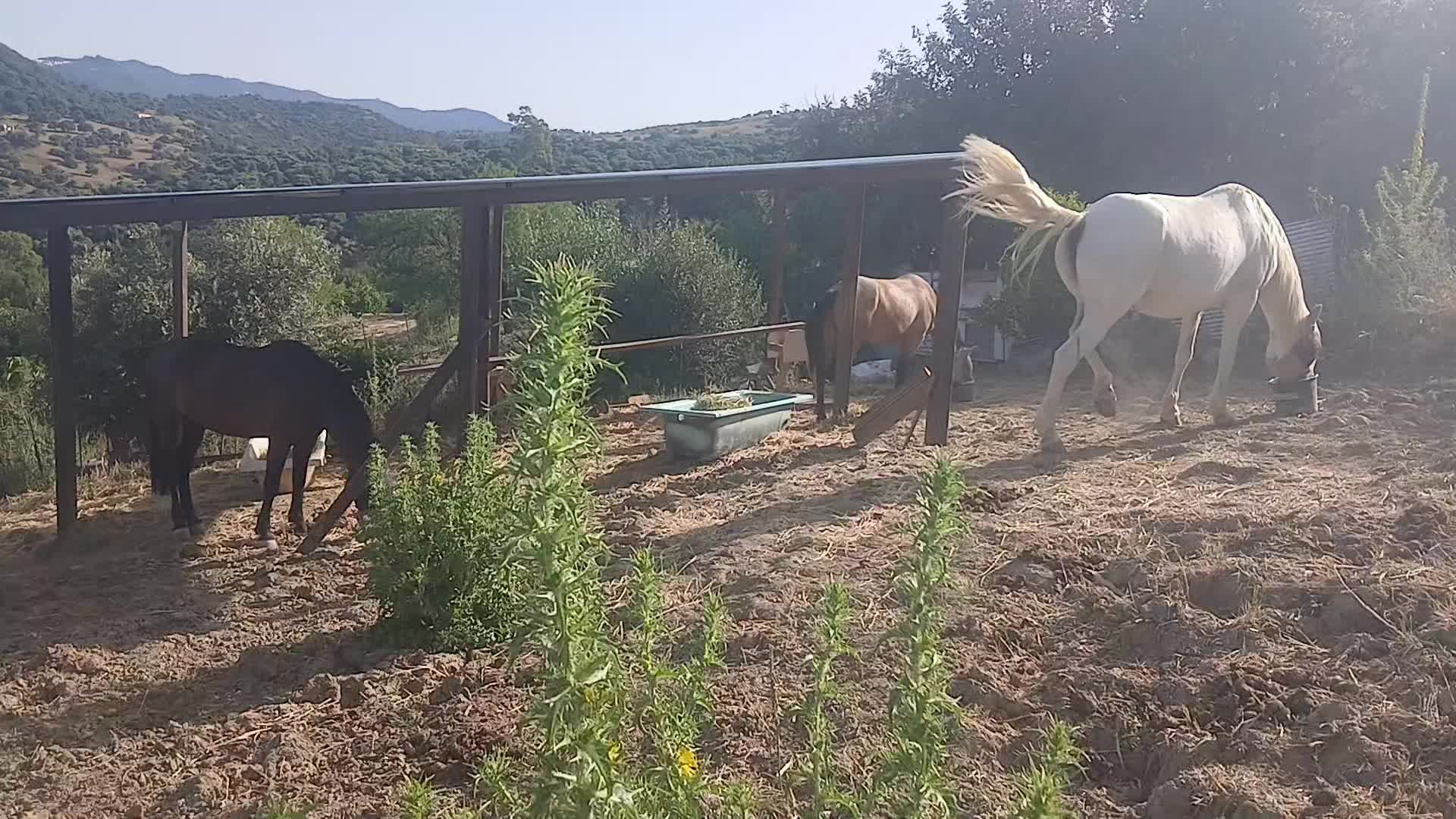 @🇪🇸Tequila-hottah&uuml;🇪🇺