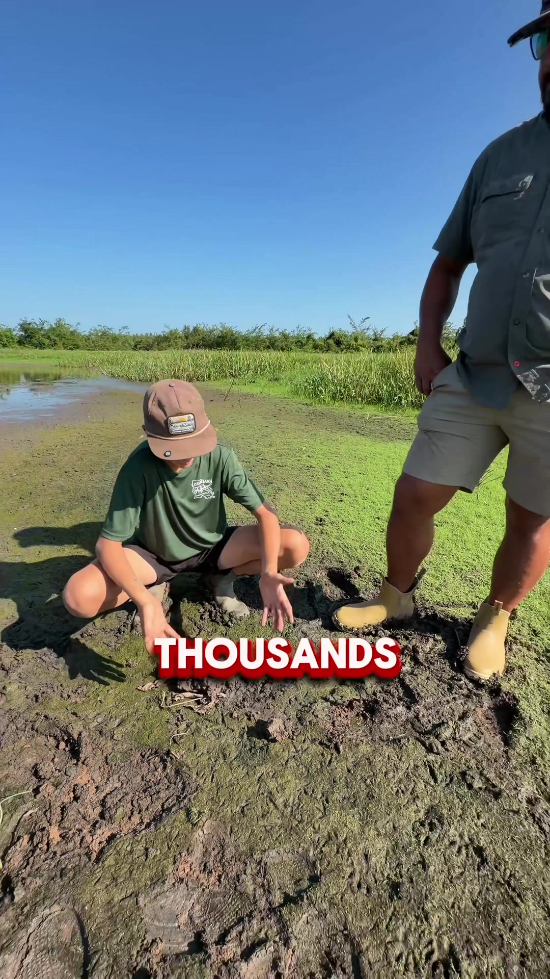 @louisianacrawfishco