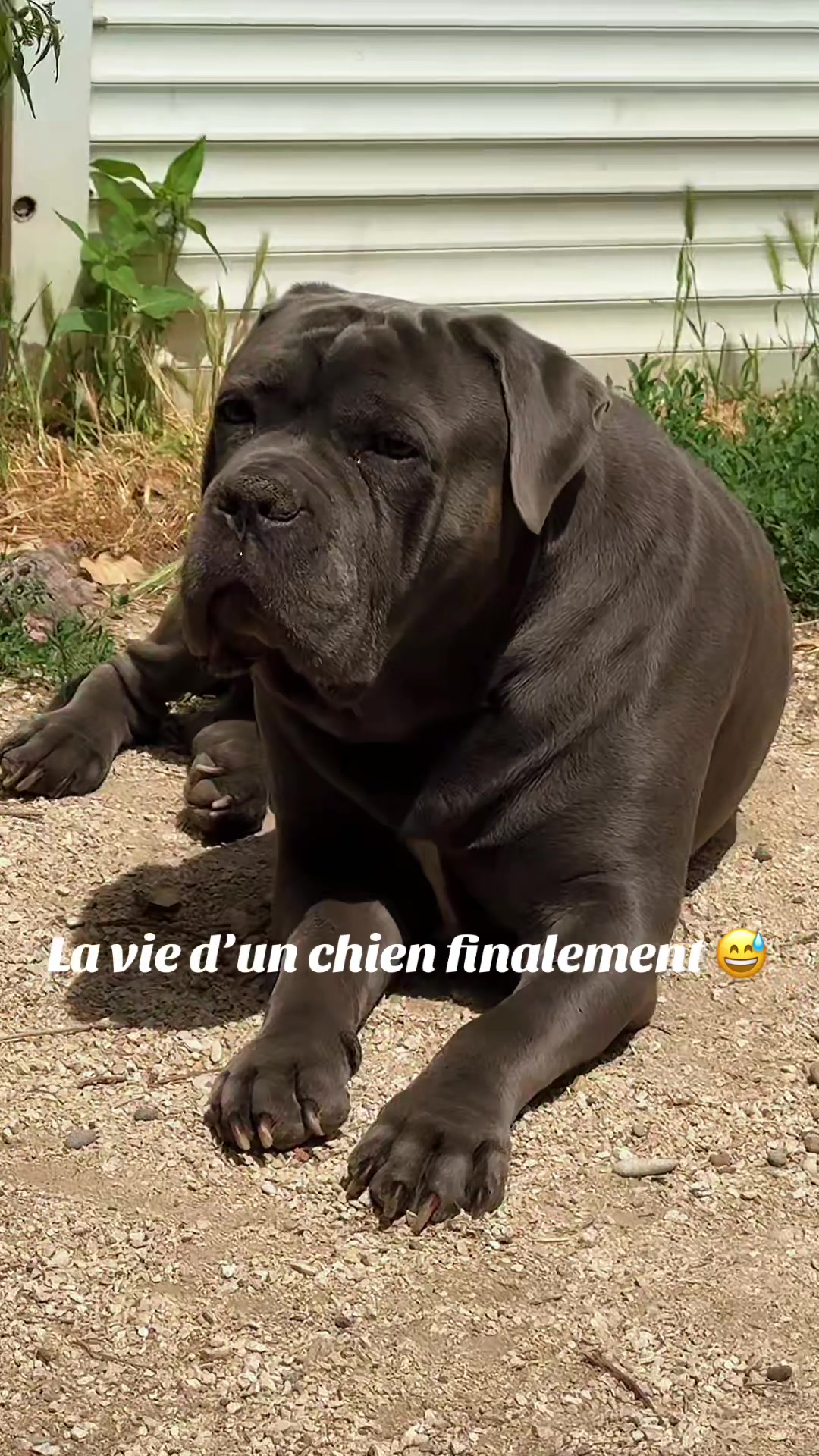 @Chlochlo