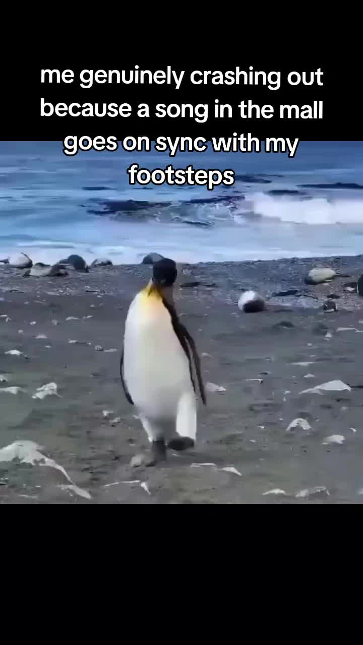 @Mumble but 𝓯𝓻𝓮𝓪𝓴𝔂