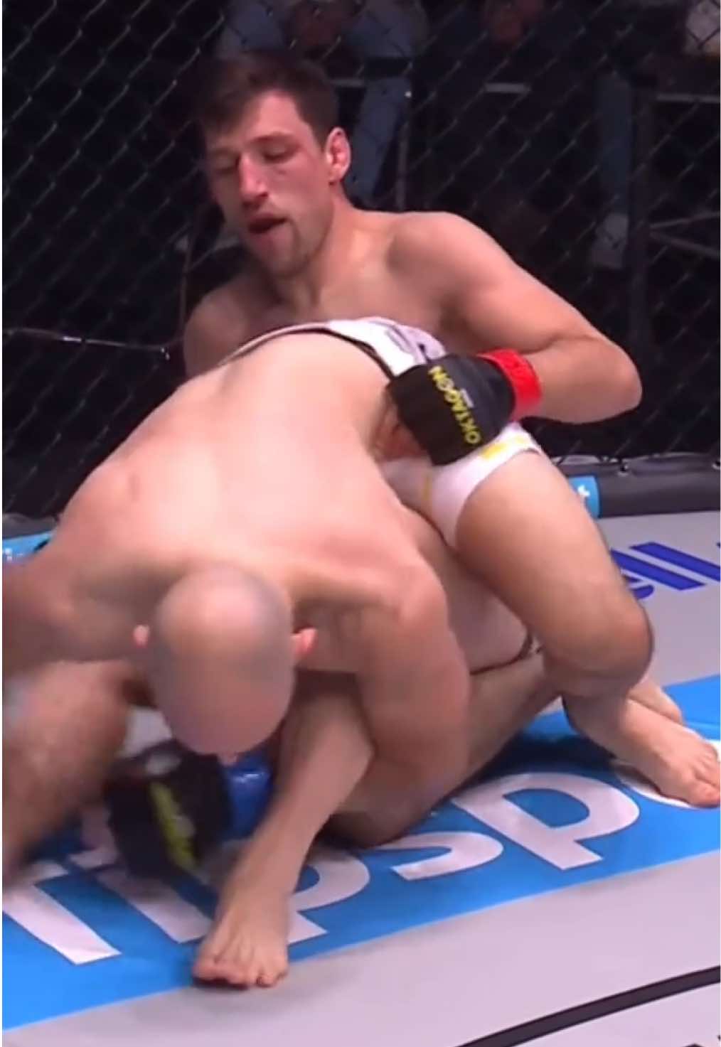 @OKTAGON MMA Deutschland