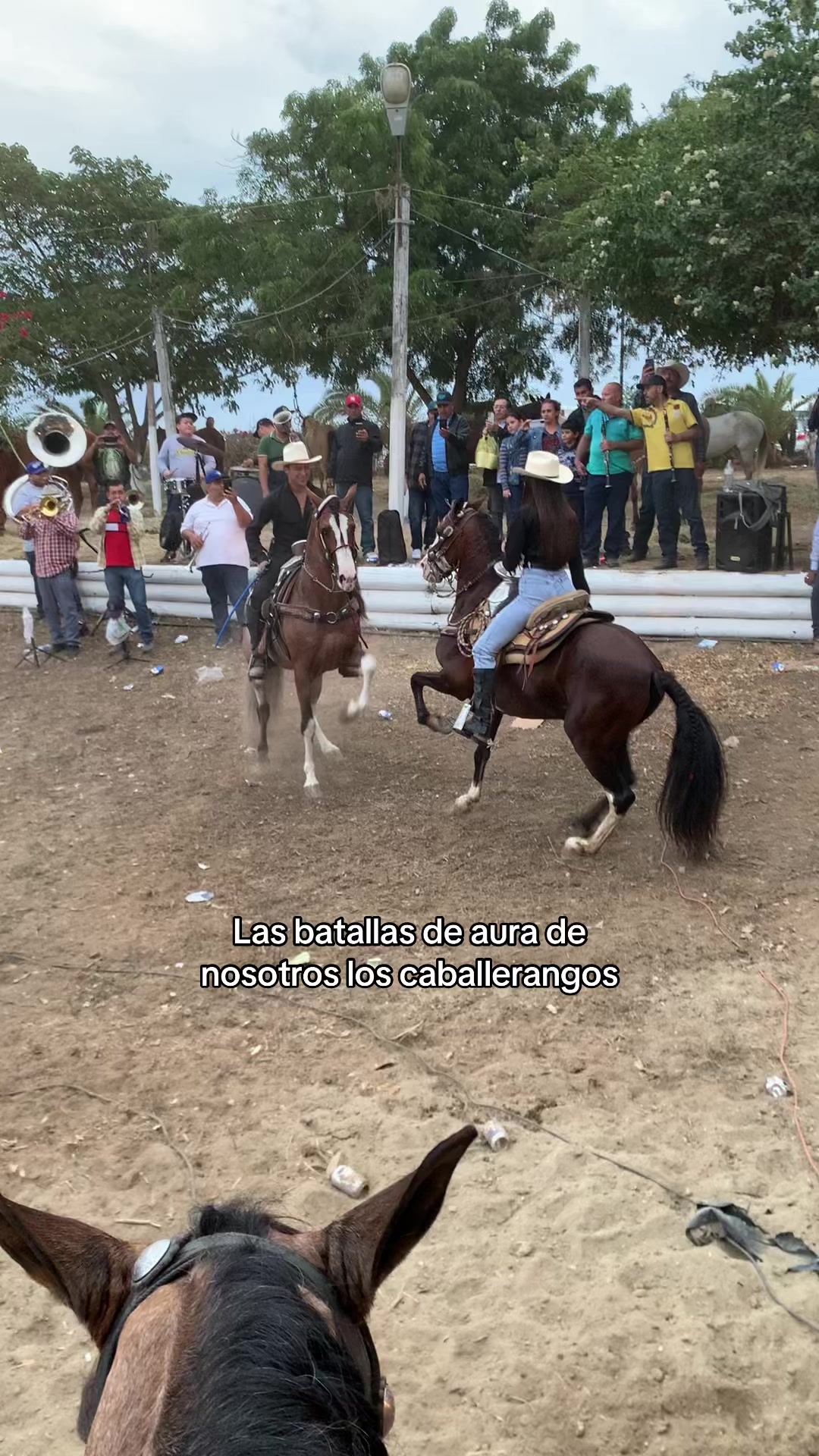 @Aracely