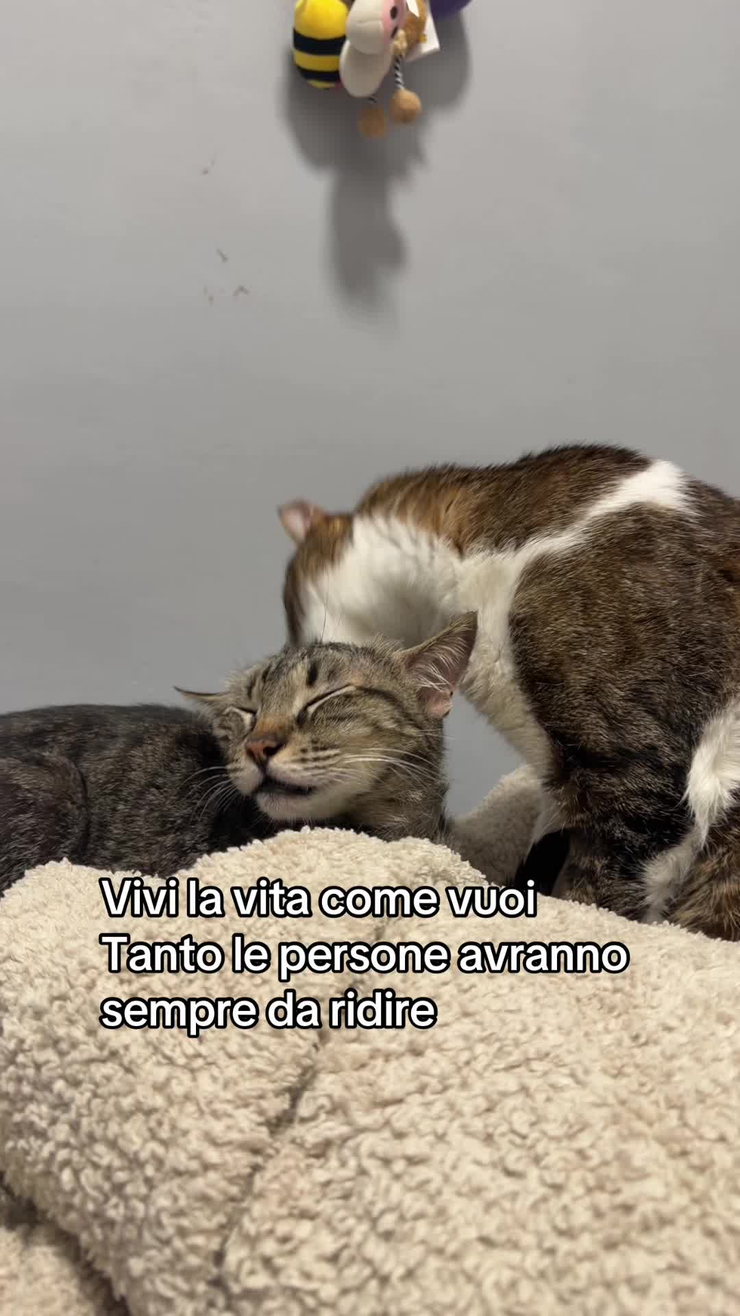 @Fra_le_nuvole_