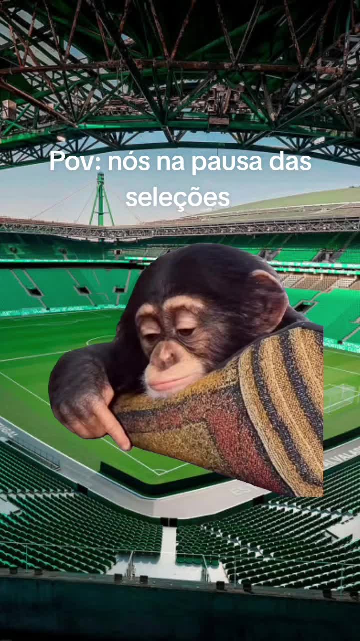 @Edgar Luís