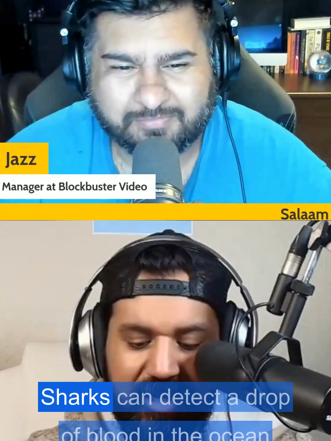 @Salaam Nerds Podcast