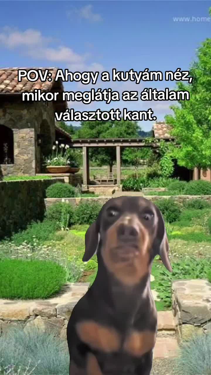 @🌷 Szandi 🌷