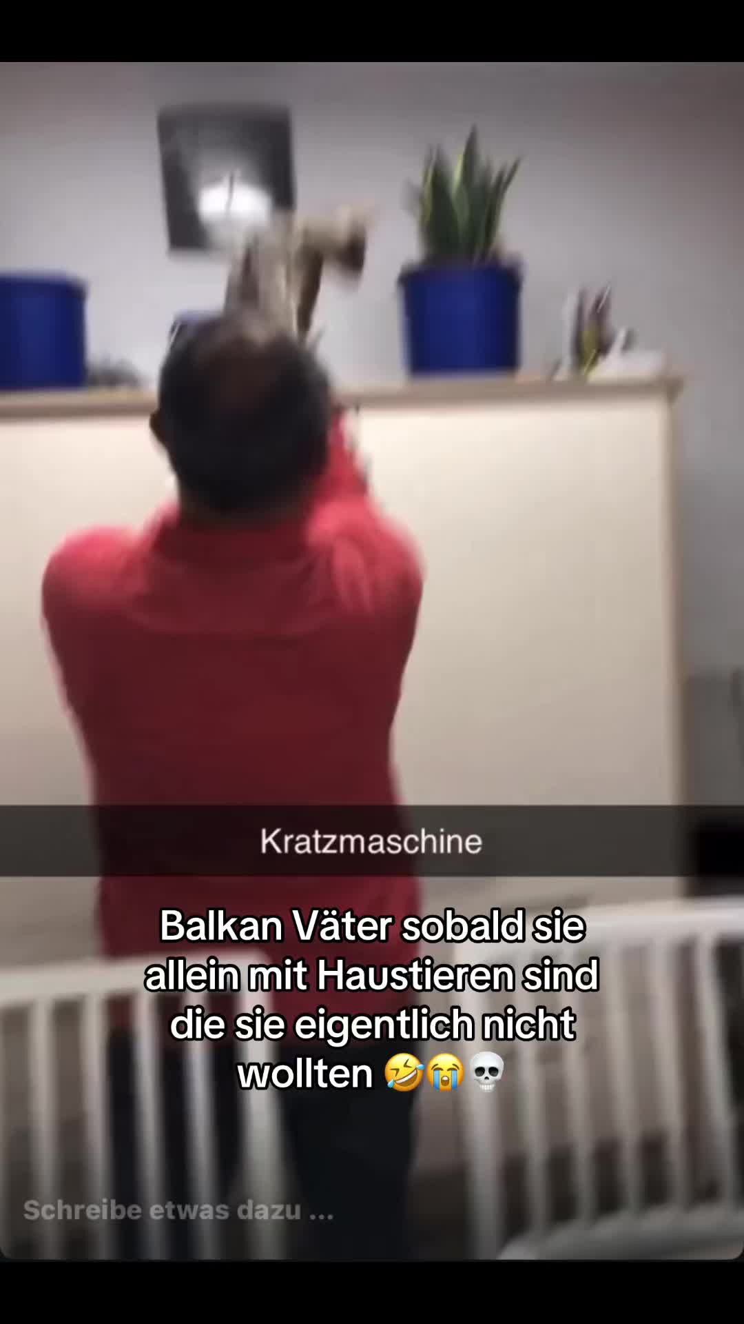 @🐈&zwj;⬛🐈&zwj;⬛🤍