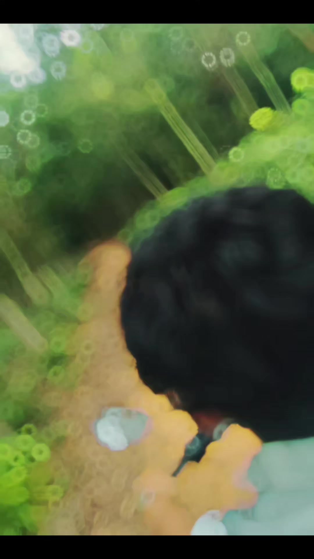 @𝗔𝗟 𝗩𝗜&nbsp; &times;͜&times;