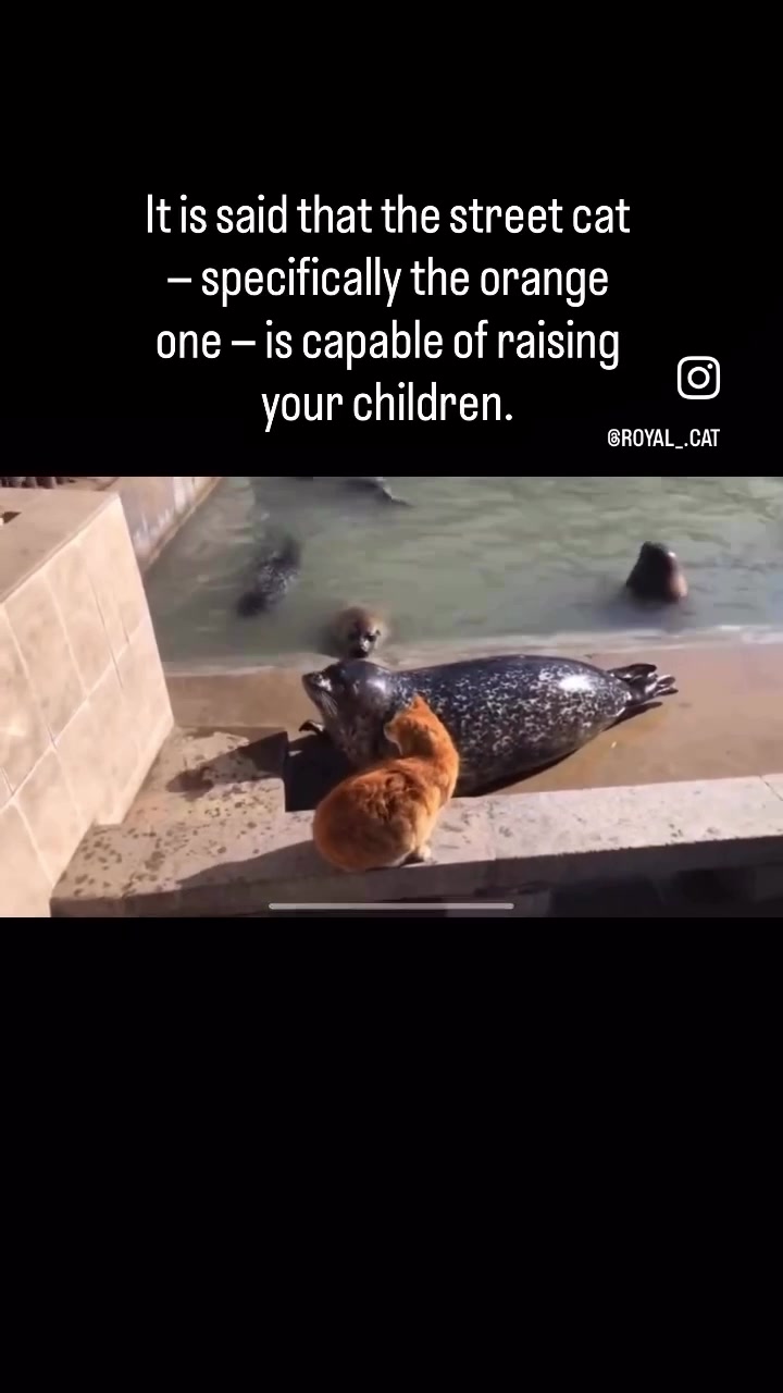 @Moon
