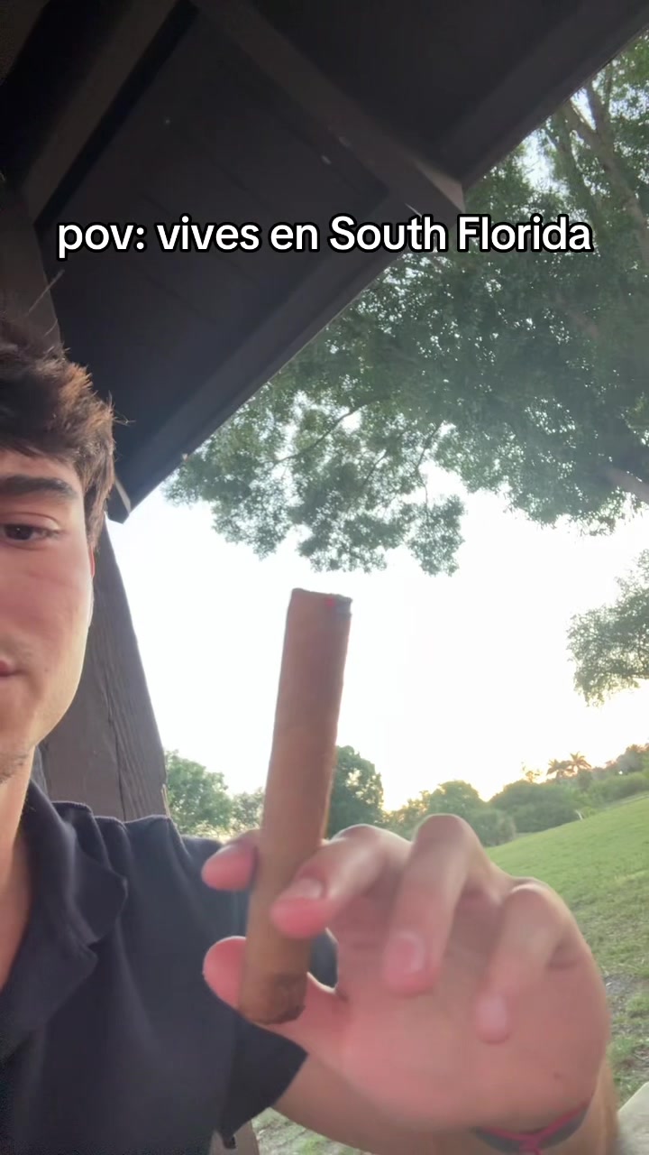 @mendiolaenusa