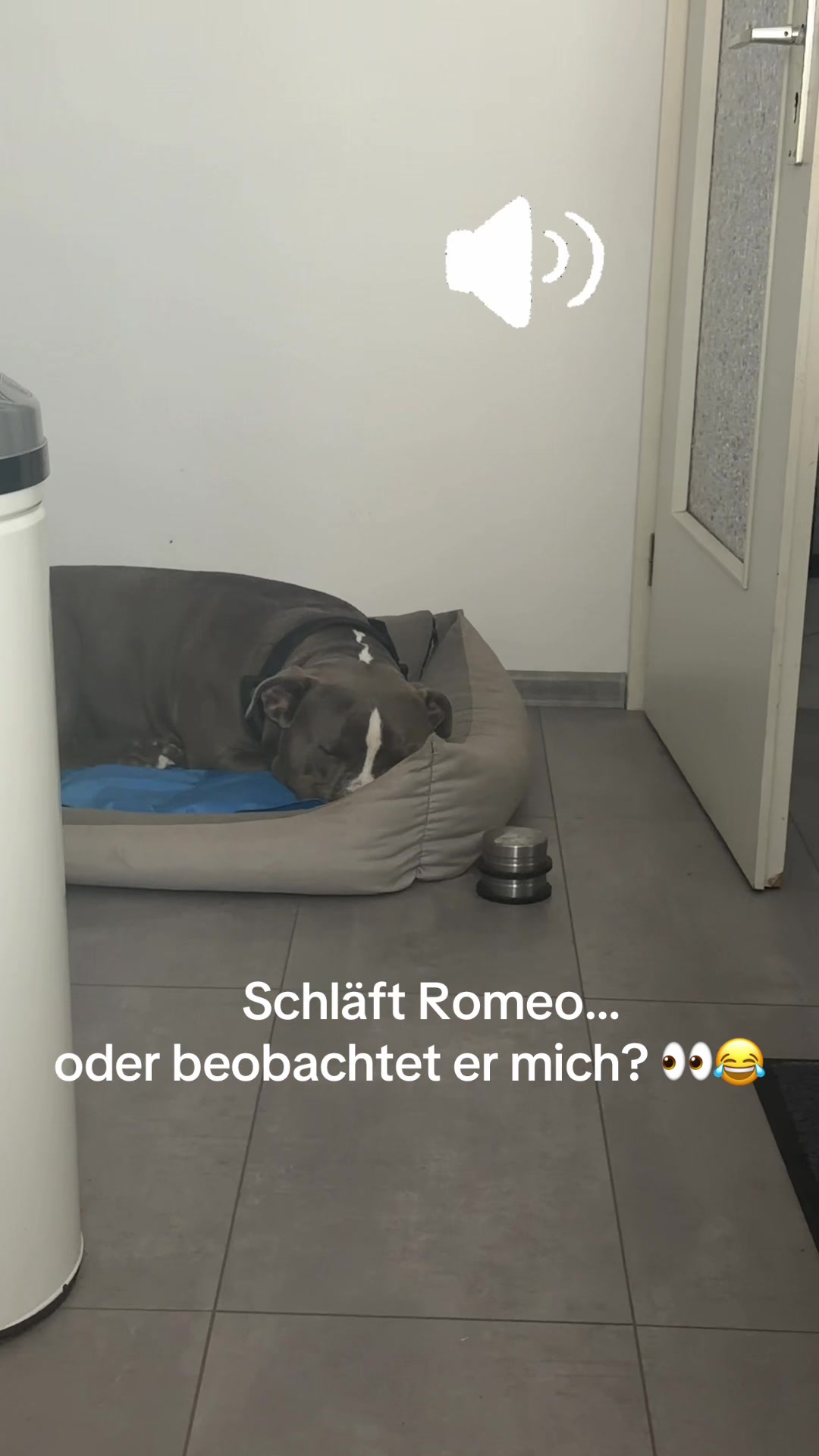 @romeo.der.bully