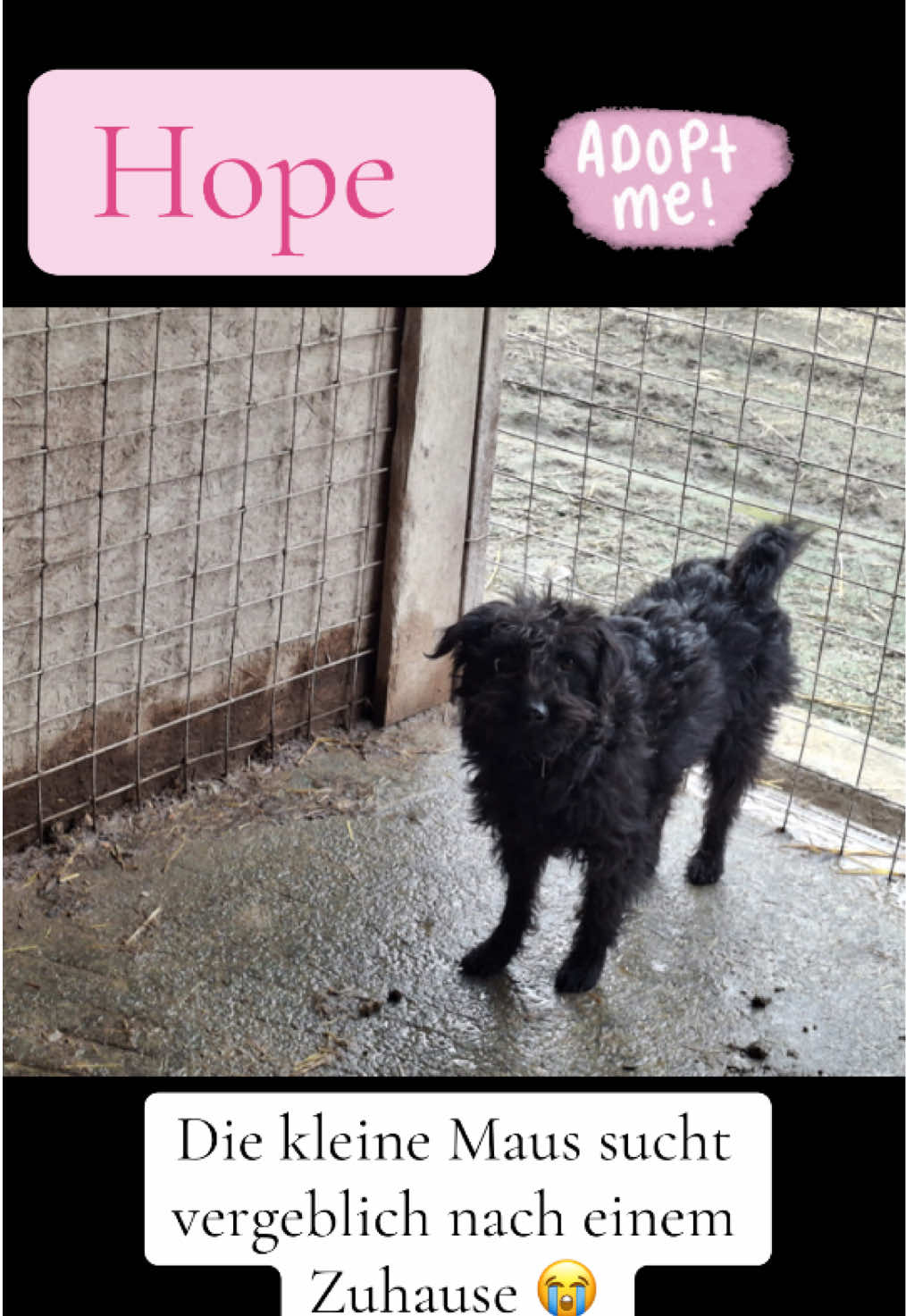 @Soulistas.Tierliebe