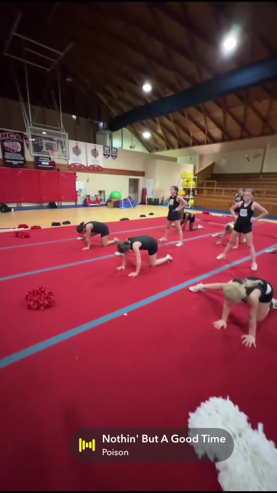 @Taylor Built Champions