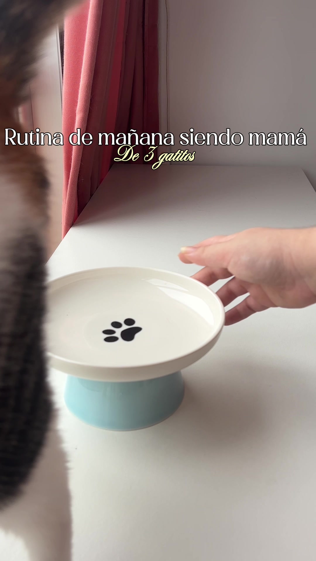 @- Alejandra  🐱💕