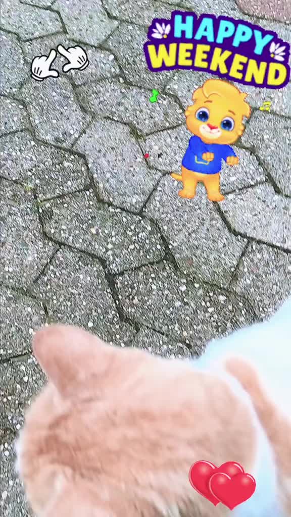 @Babsi