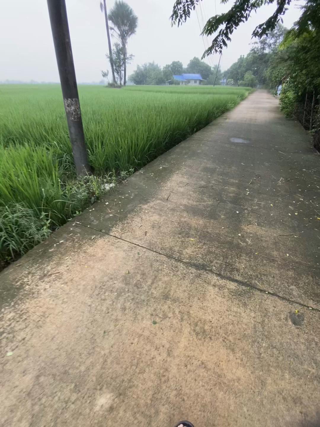@sunlitsanctuary