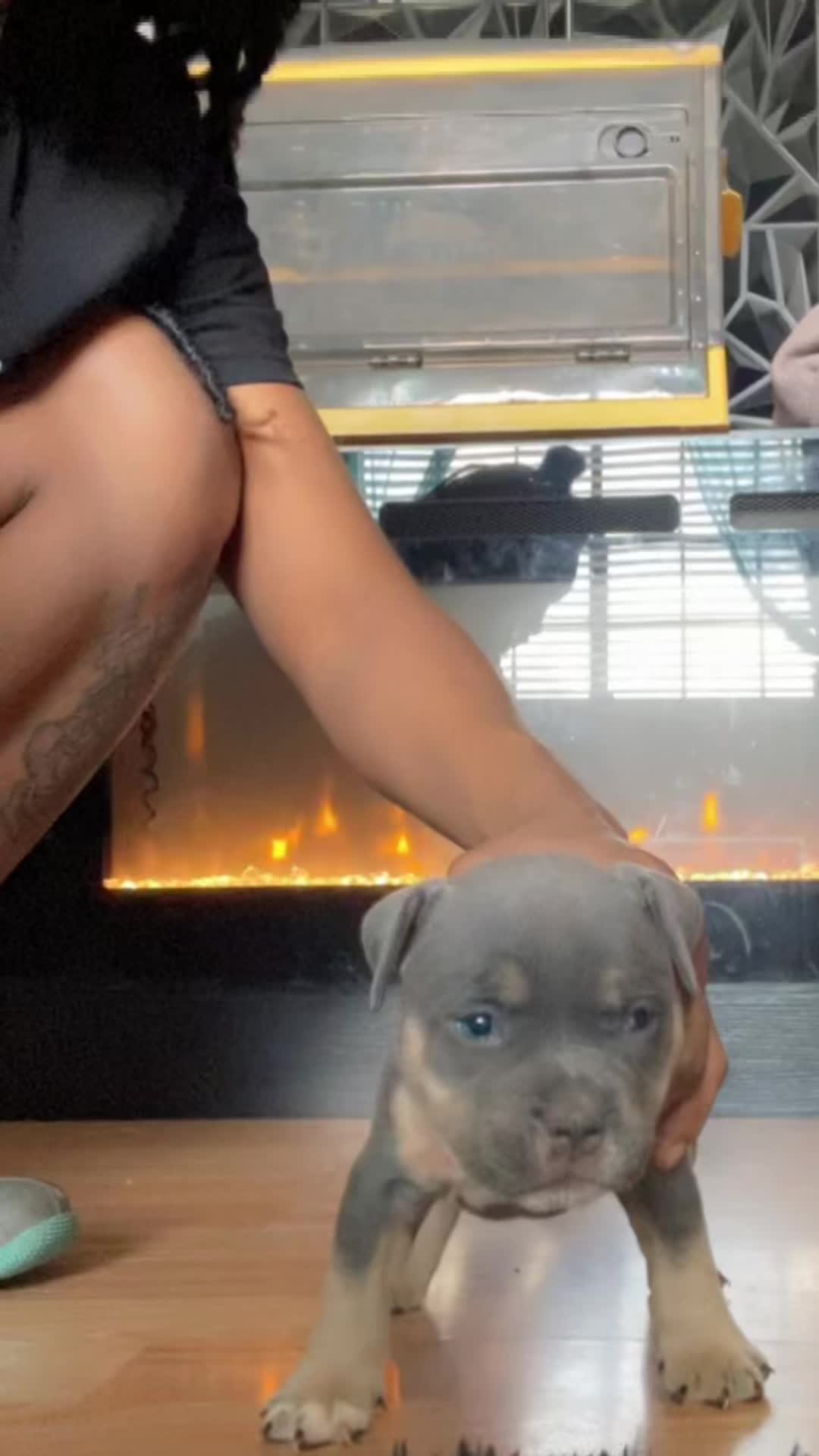 @gardnerkennel08