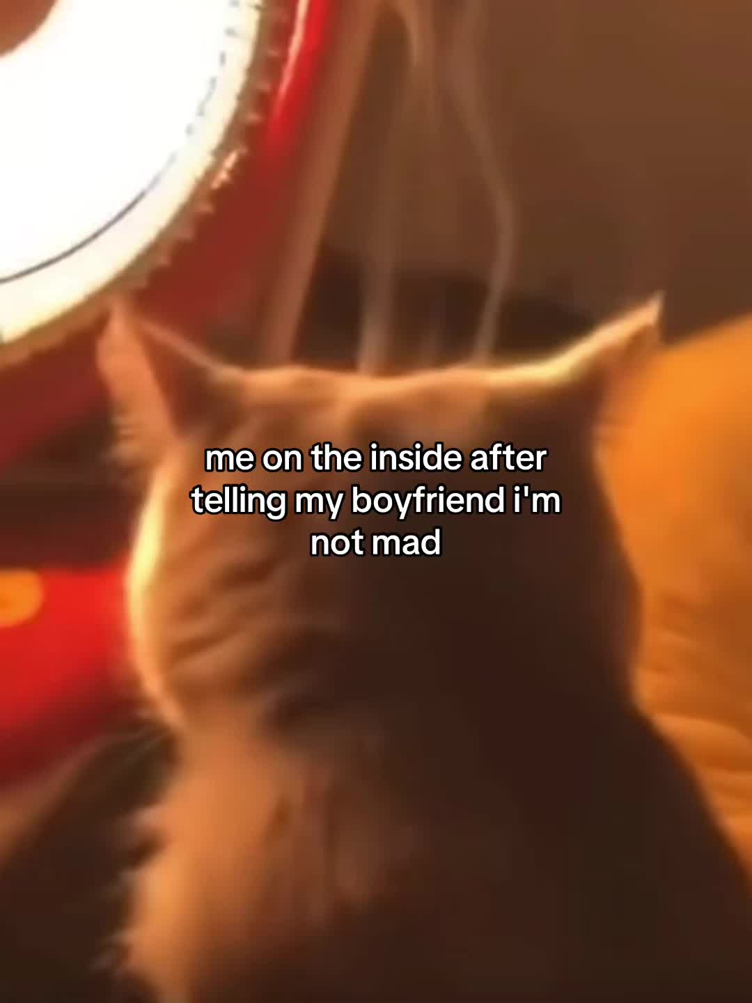 @Alice.cattok
