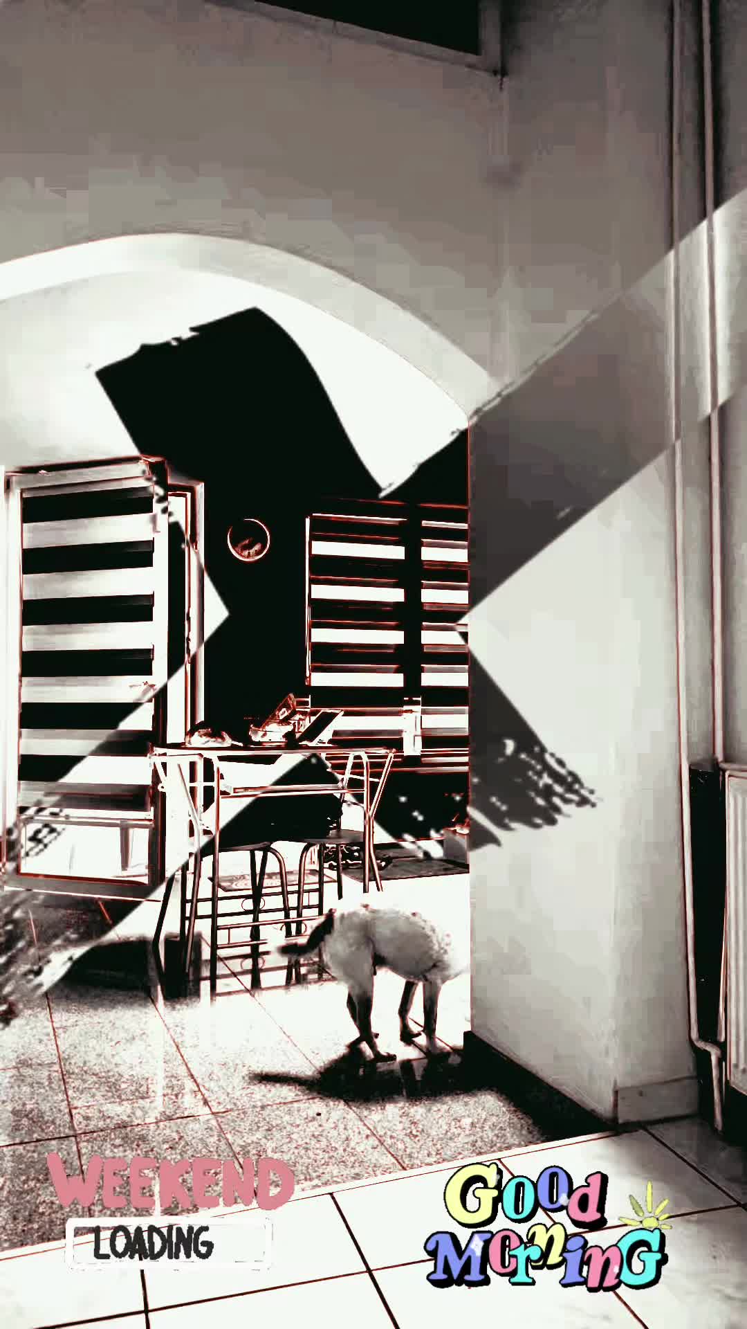 @𝕻𝖆𝖈𝖈𝖔