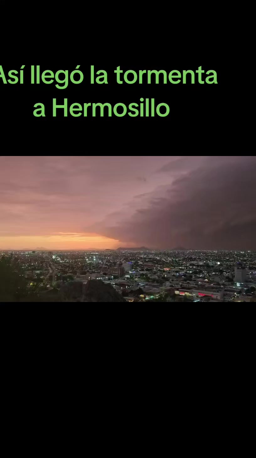 @elportaldelanoticia