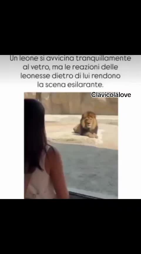 @AntoCarrara