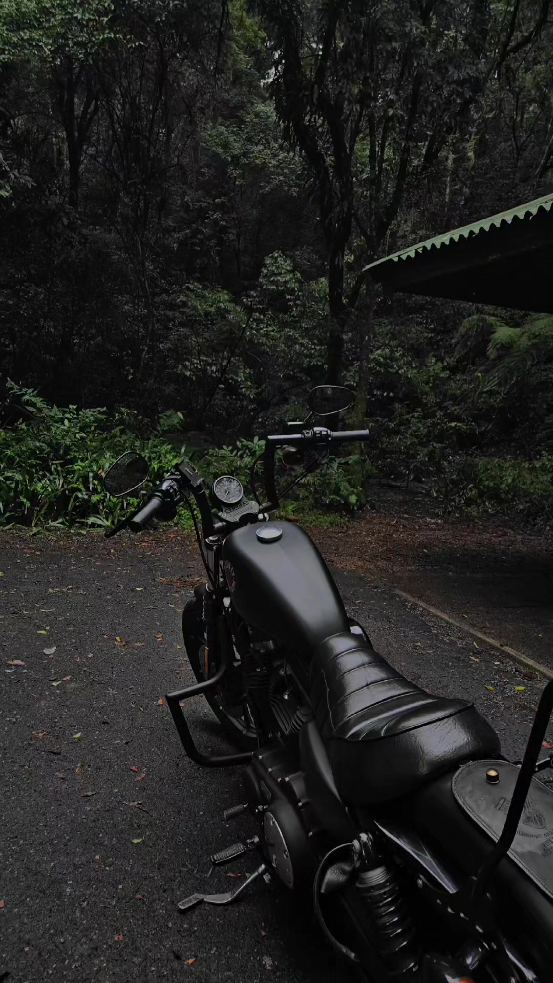 @Isadora Tabordes