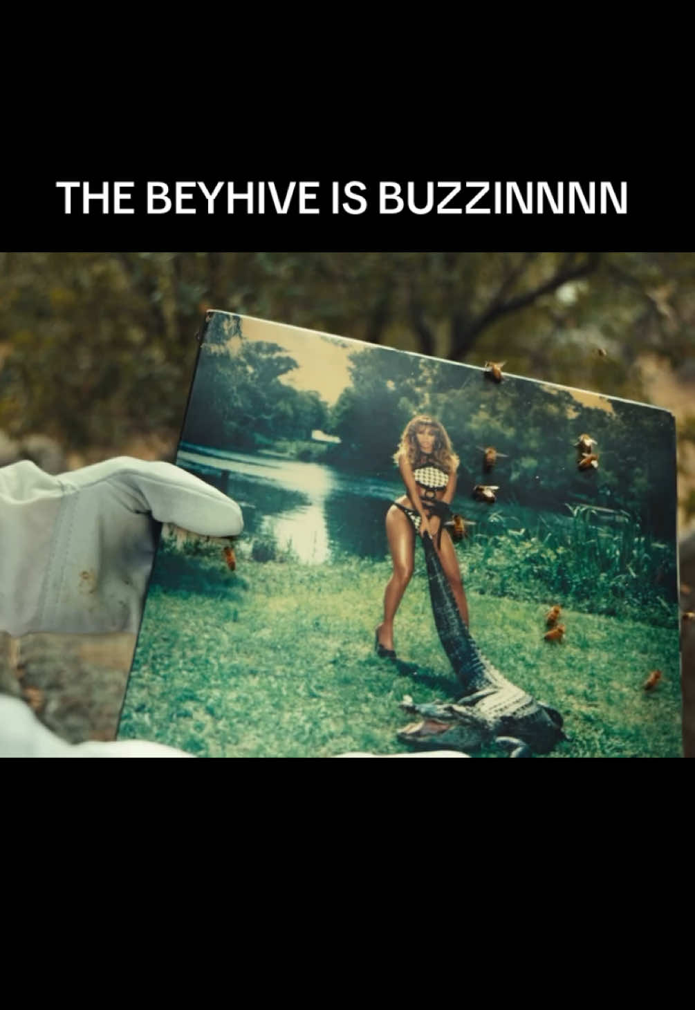 @QueenBeyEdit🐝