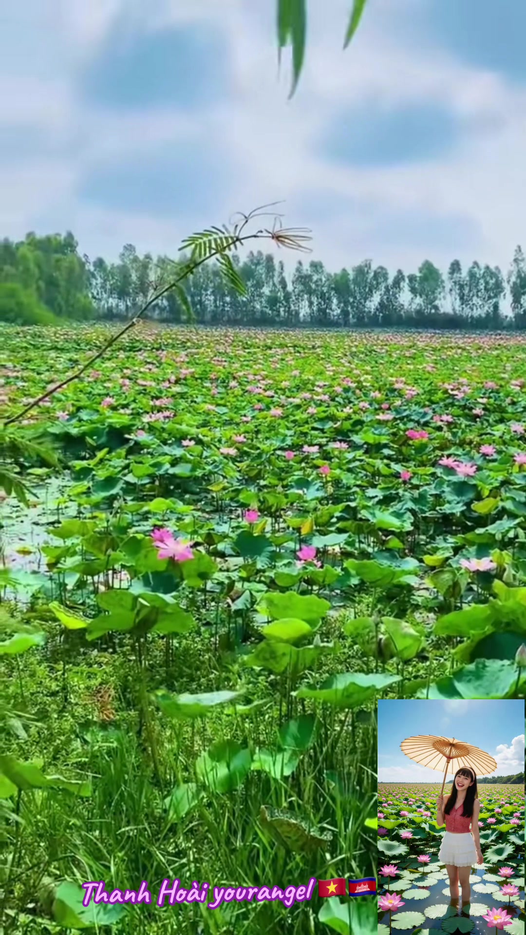 @CHỊ Đẹp thanh ho&agrave;i your engel