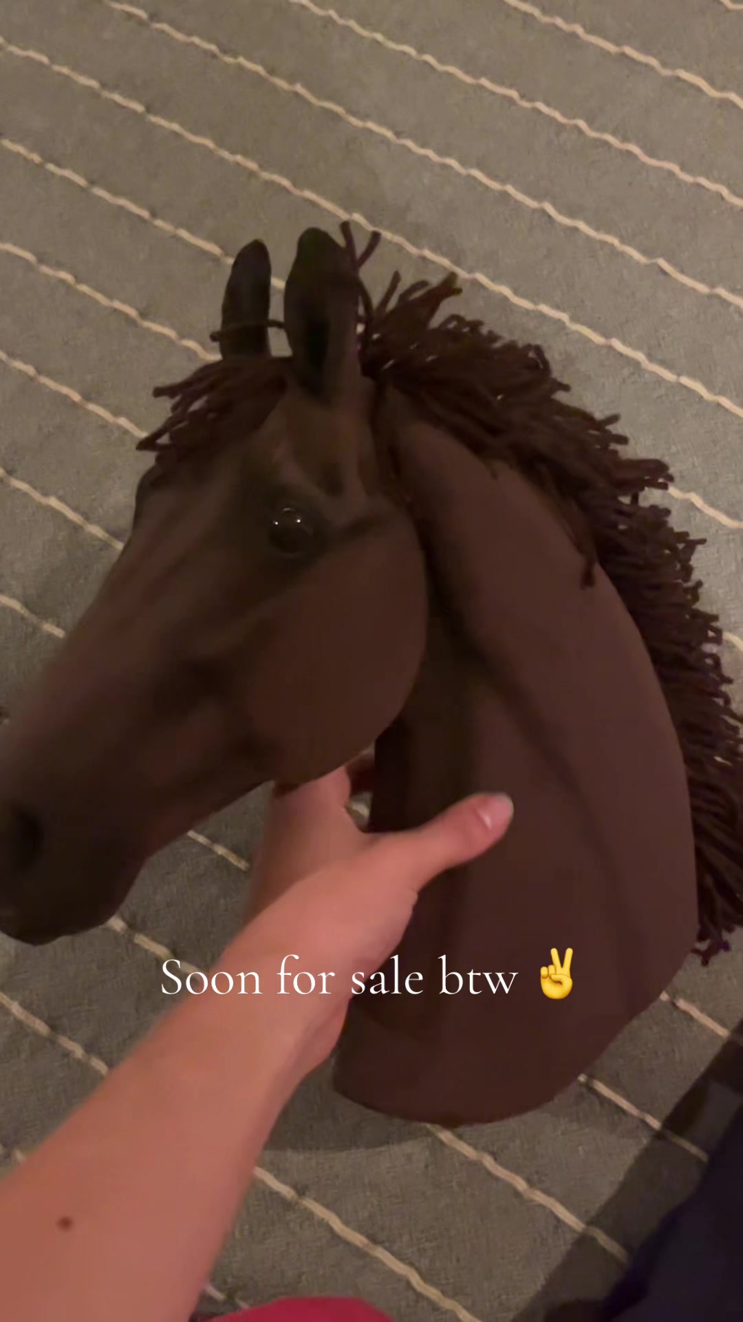 @zhobbyhorse