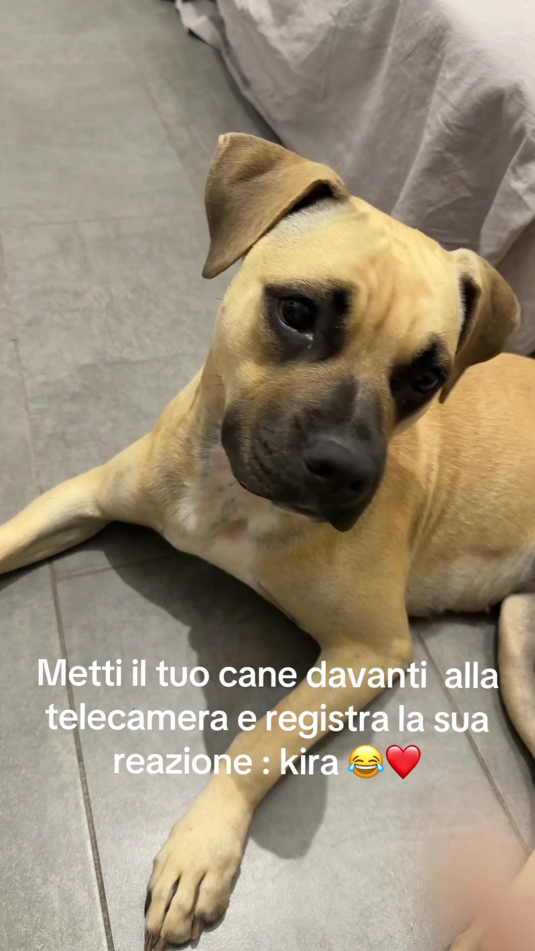 @Tatiana Miceli