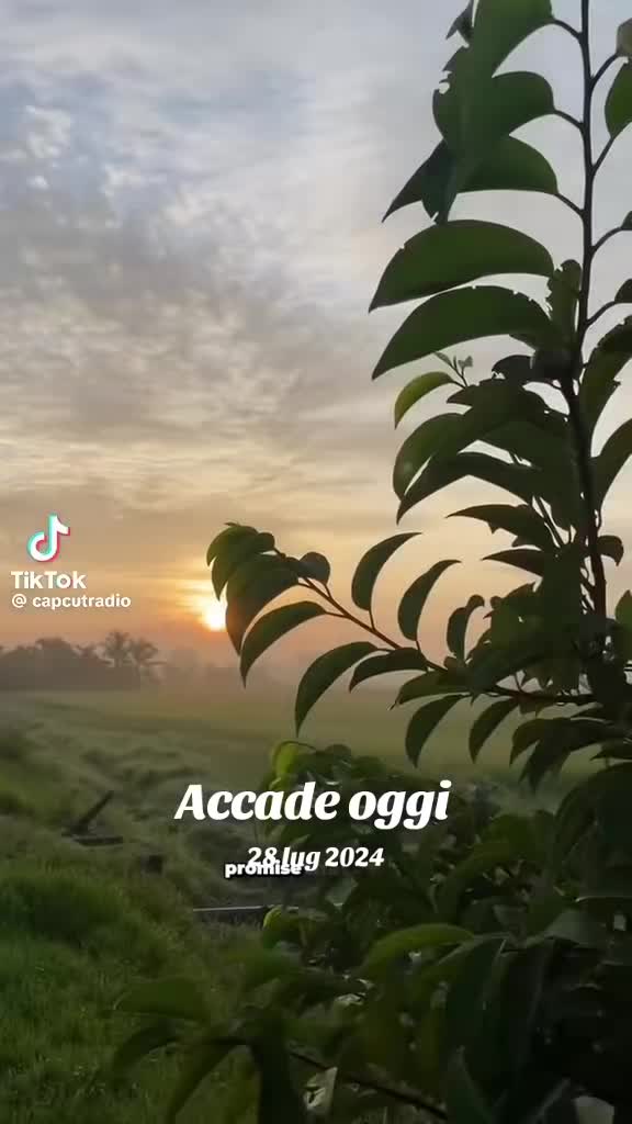 @Nico Agricoltura 🚜