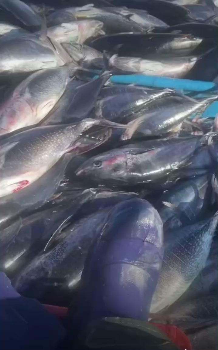 @🚢hàmìdø⚓⚡Ræysë🐬🏴☠️