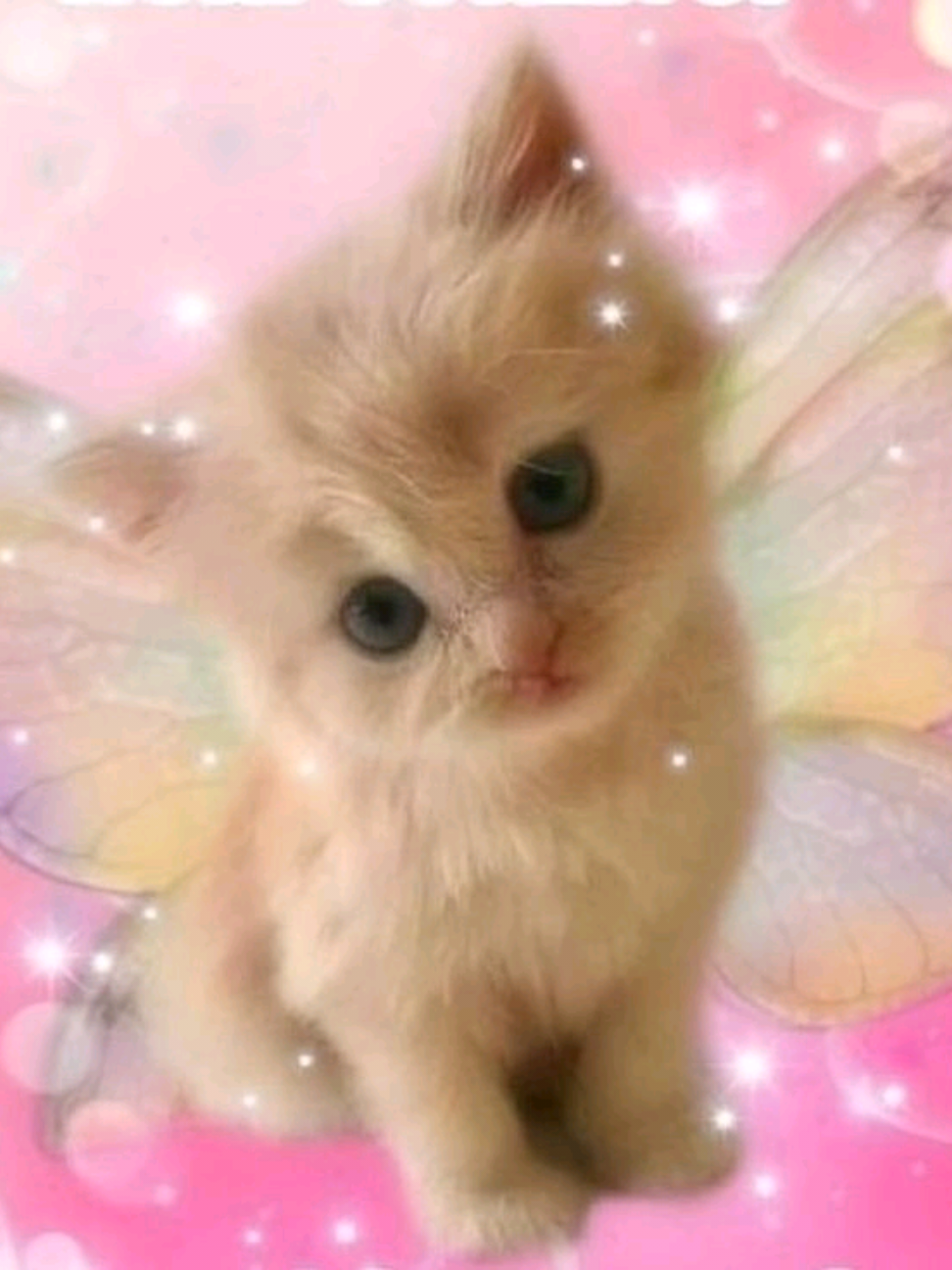 @˚.⋆ 。ᡣ𐭩⋆𝖩ɑɣᥣɑ ɑოɣ⋆ᡣ𐭩 。 ˚.⋆
