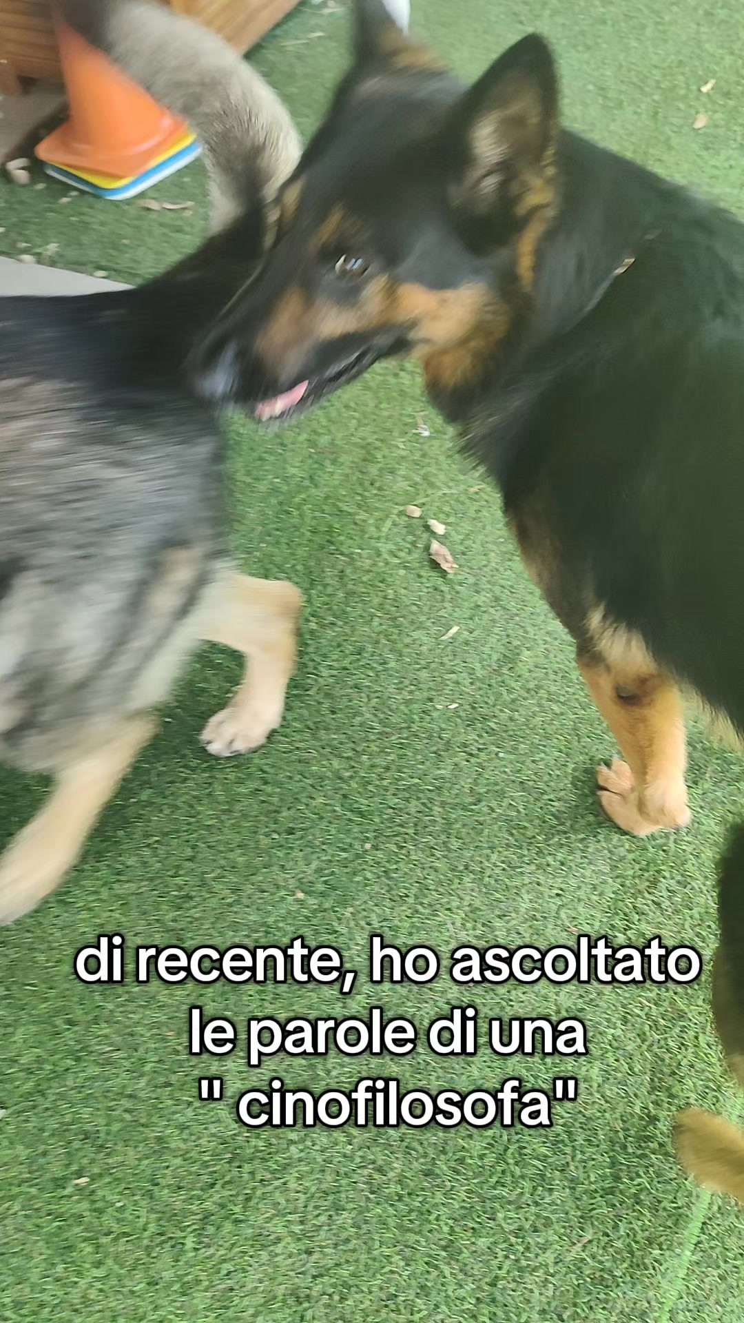 @Irene Spremolla