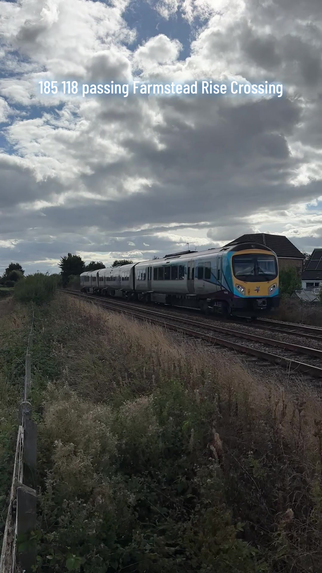 @The Duo of Train Lovers