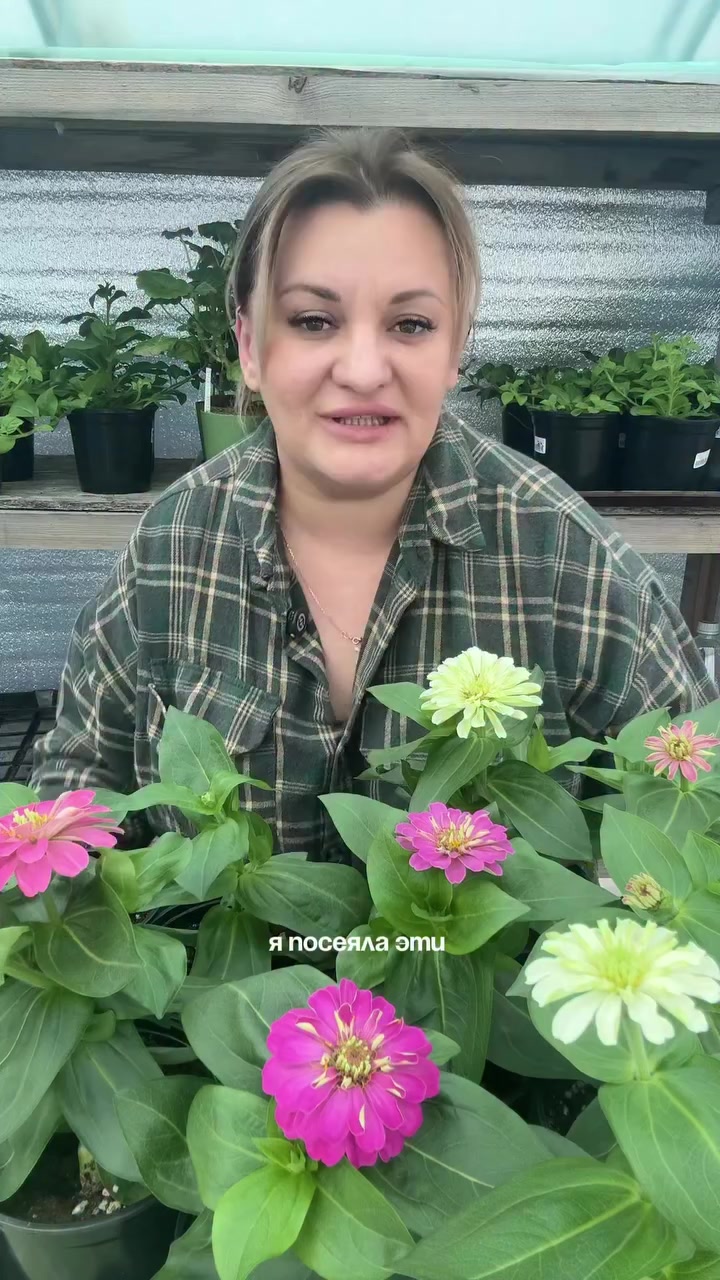 @PosevMari