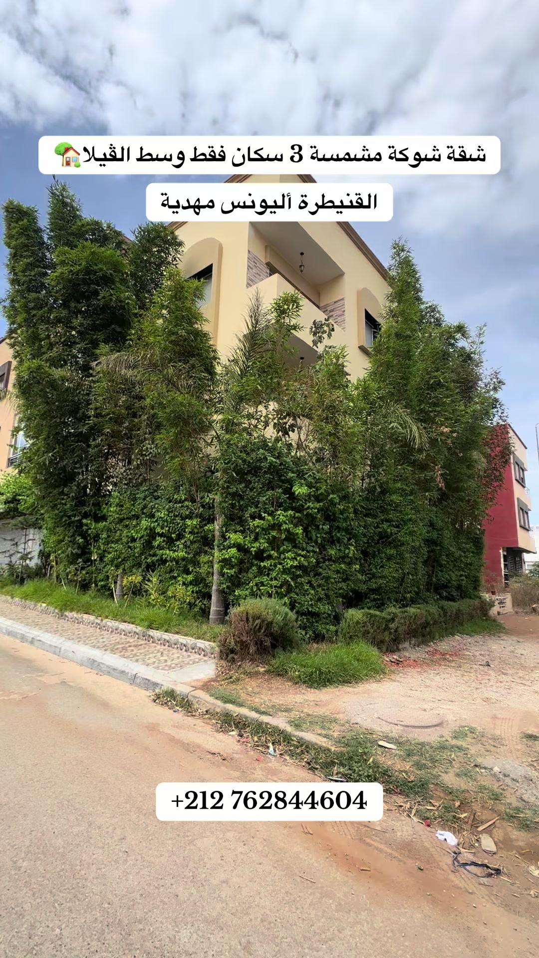 @immobilier chennah👷🏻♂️