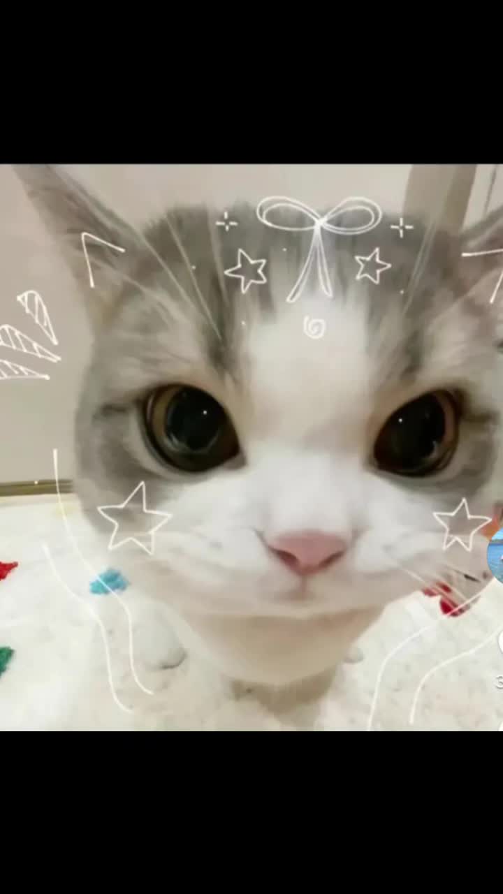 @Sindy123!