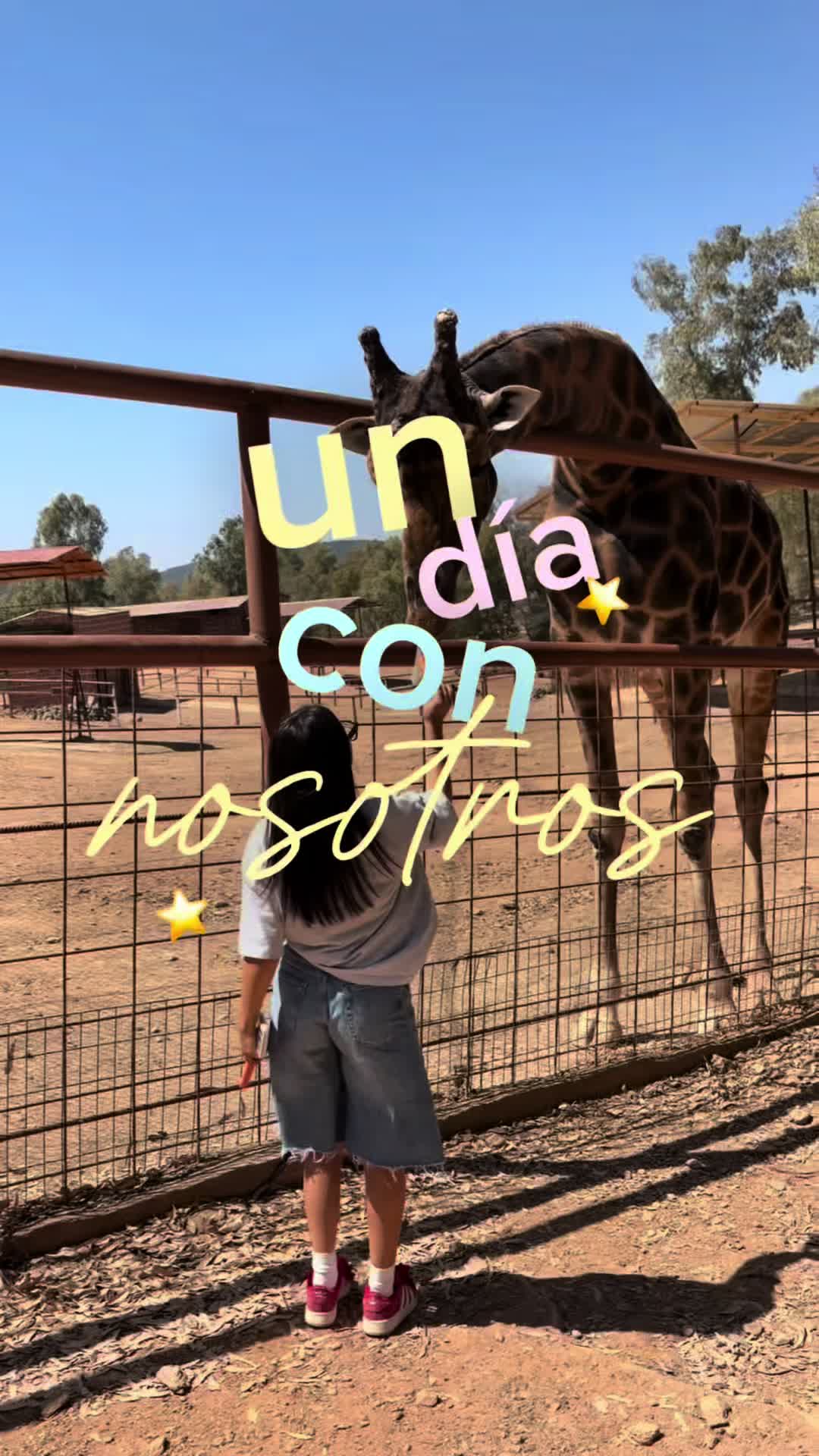 @pilyae