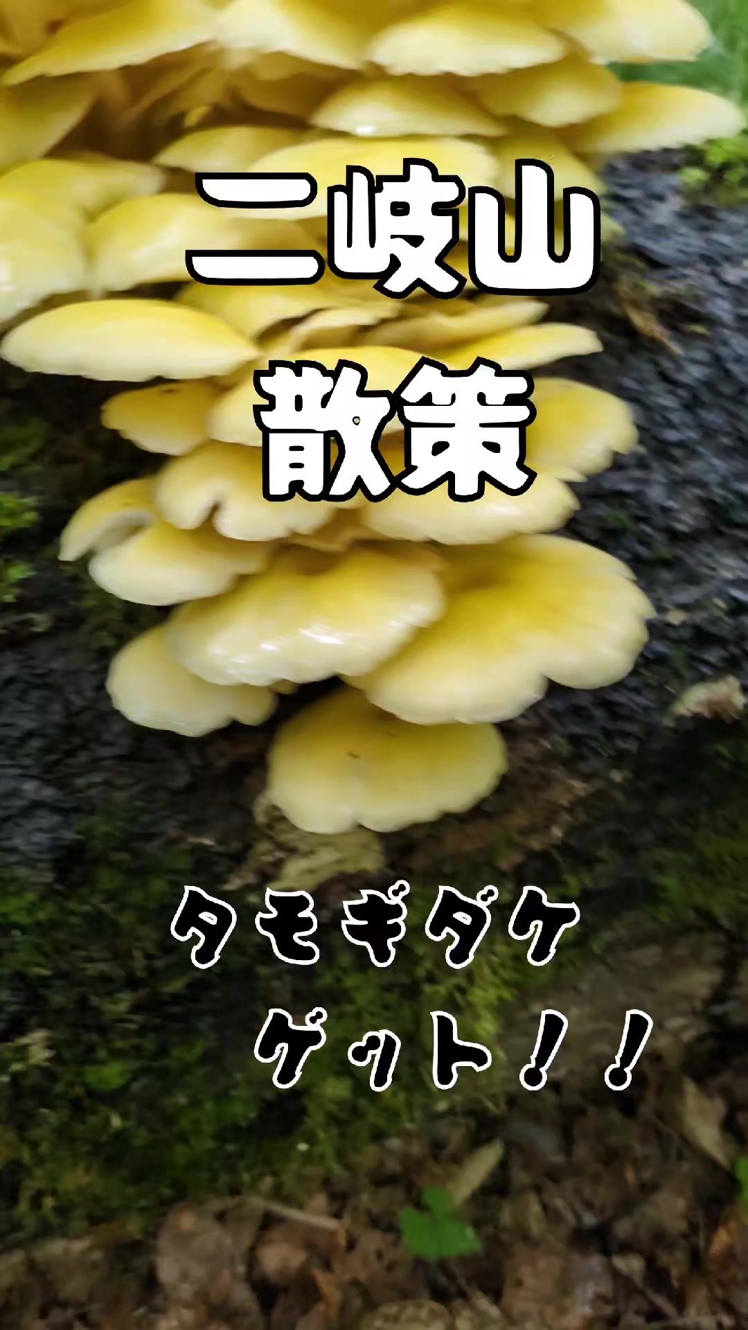 @若旦那